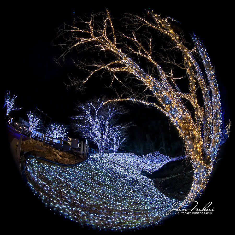 ネスタリゾート神戸 イルミネーション