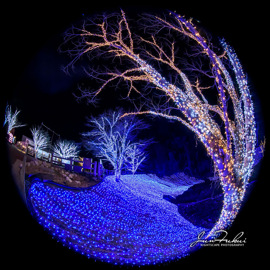 ネスタリゾート神戸 イルミネーション