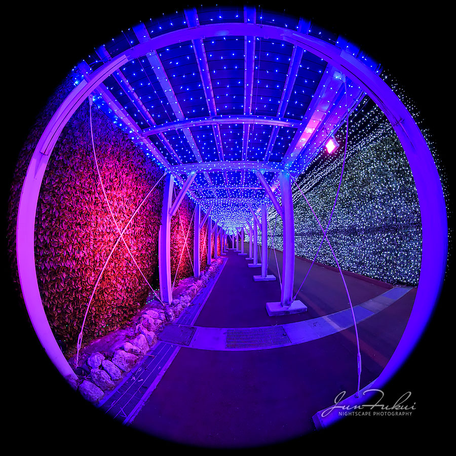 ネスタリゾート神戸 イルミネーション