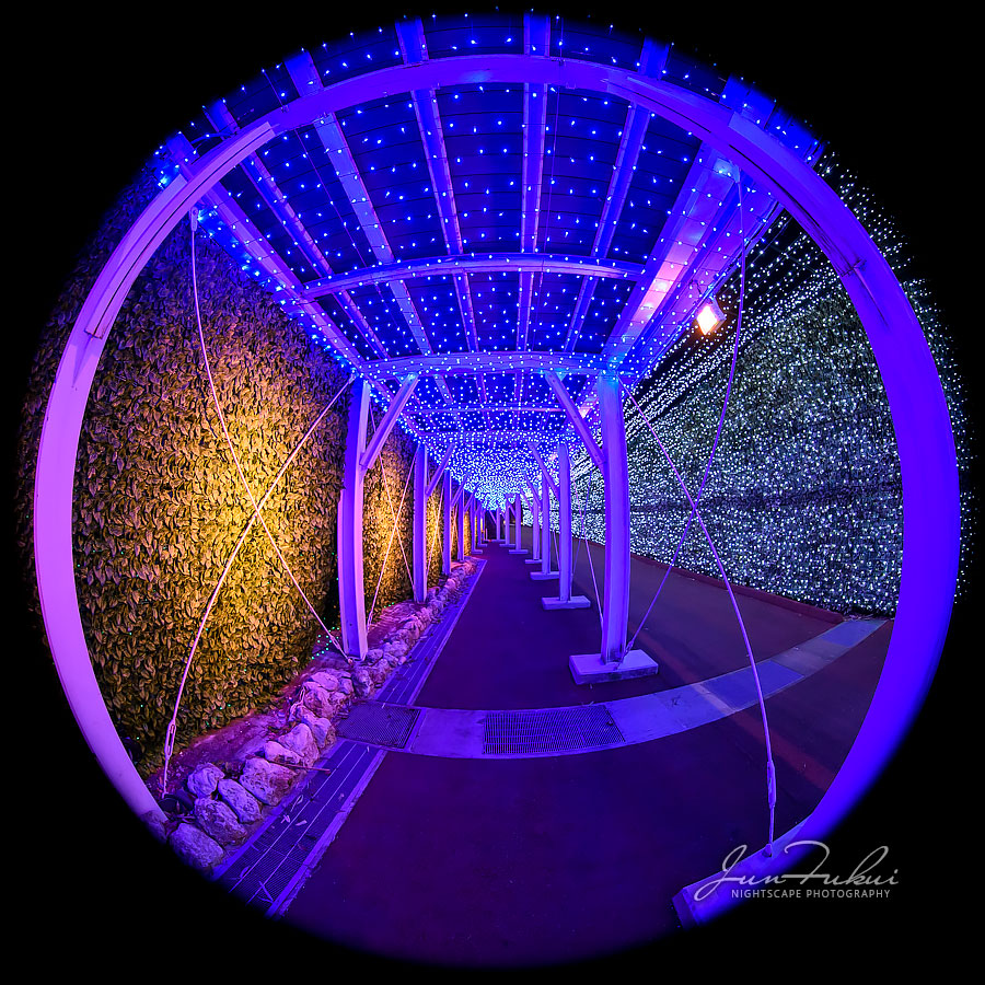 ネスタリゾート神戸 イルミネーション