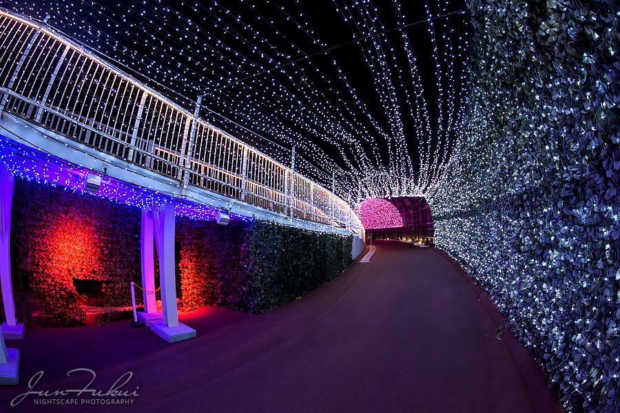 ネスタリゾート神戸 イルミネーション