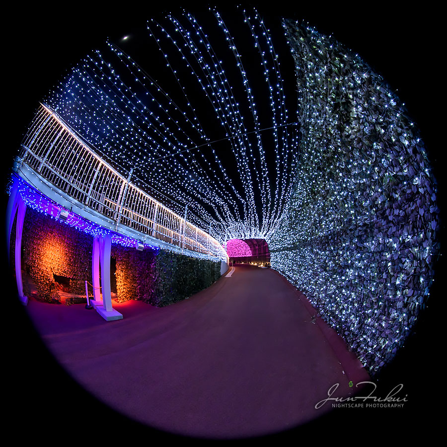 ネスタリゾート神戸 イルミネーション