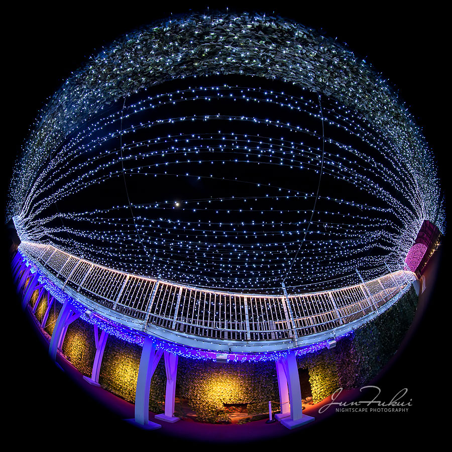 ネスタリゾート神戸 イルミネーション