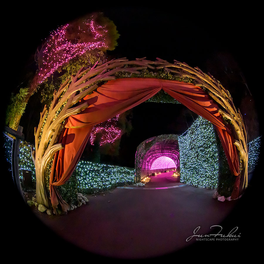 ネスタリゾート神戸 イルミネーション