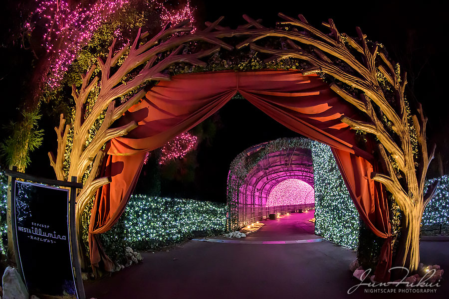 ネスタリゾート神戸 イルミネーション