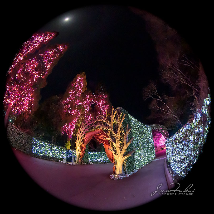 ネスタリゾート神戸 イルミネーション