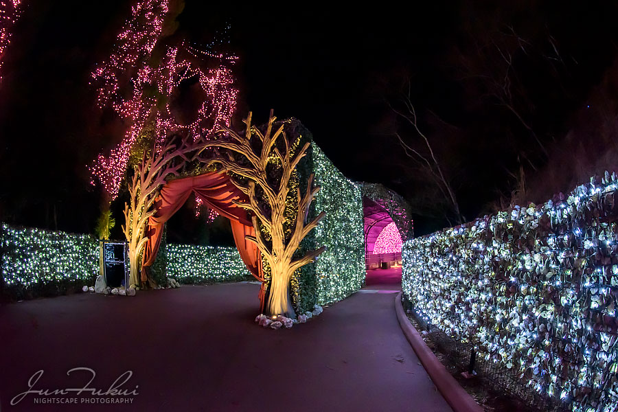ネスタリゾート神戸 イルミネーション
