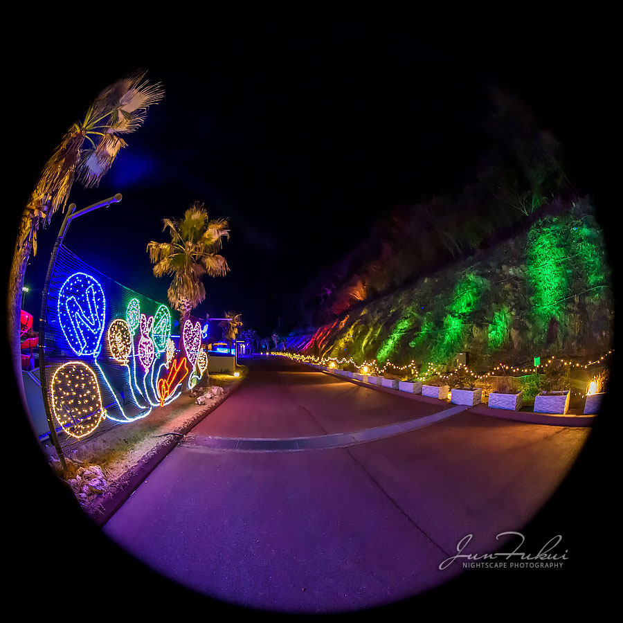 ネスタリゾート神戸 イルミネーション