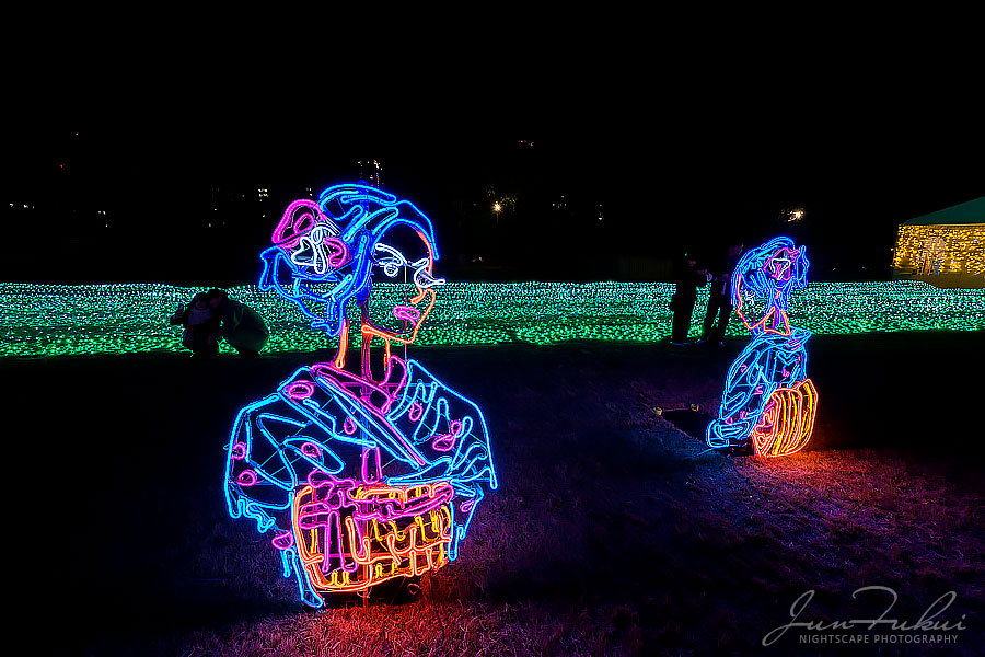 大阪城イルミナージュ イルミネーション