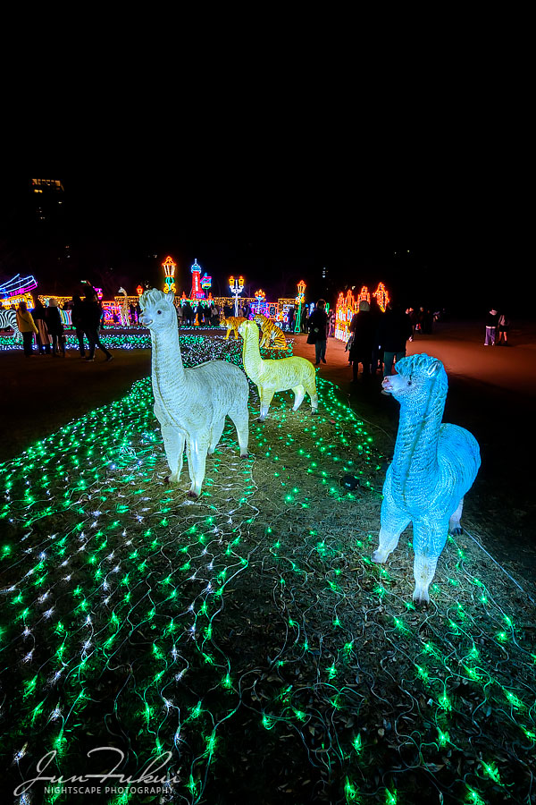 大阪城イルミナージュ イルミネーション