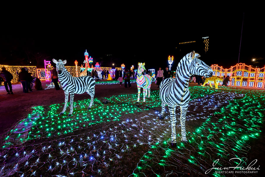 大阪城イルミナージュ イルミネーション