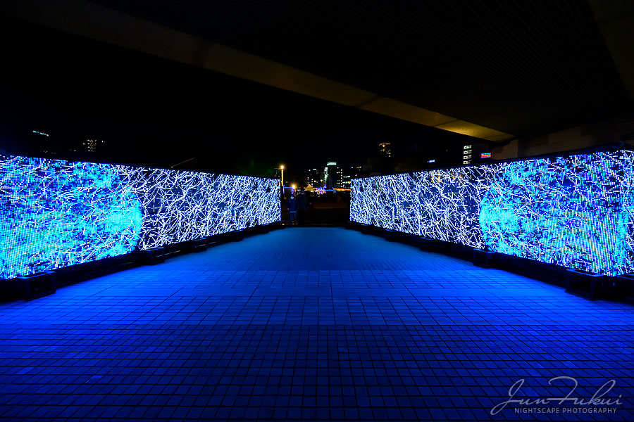 OSAKA光のルネサンス イルミネーション