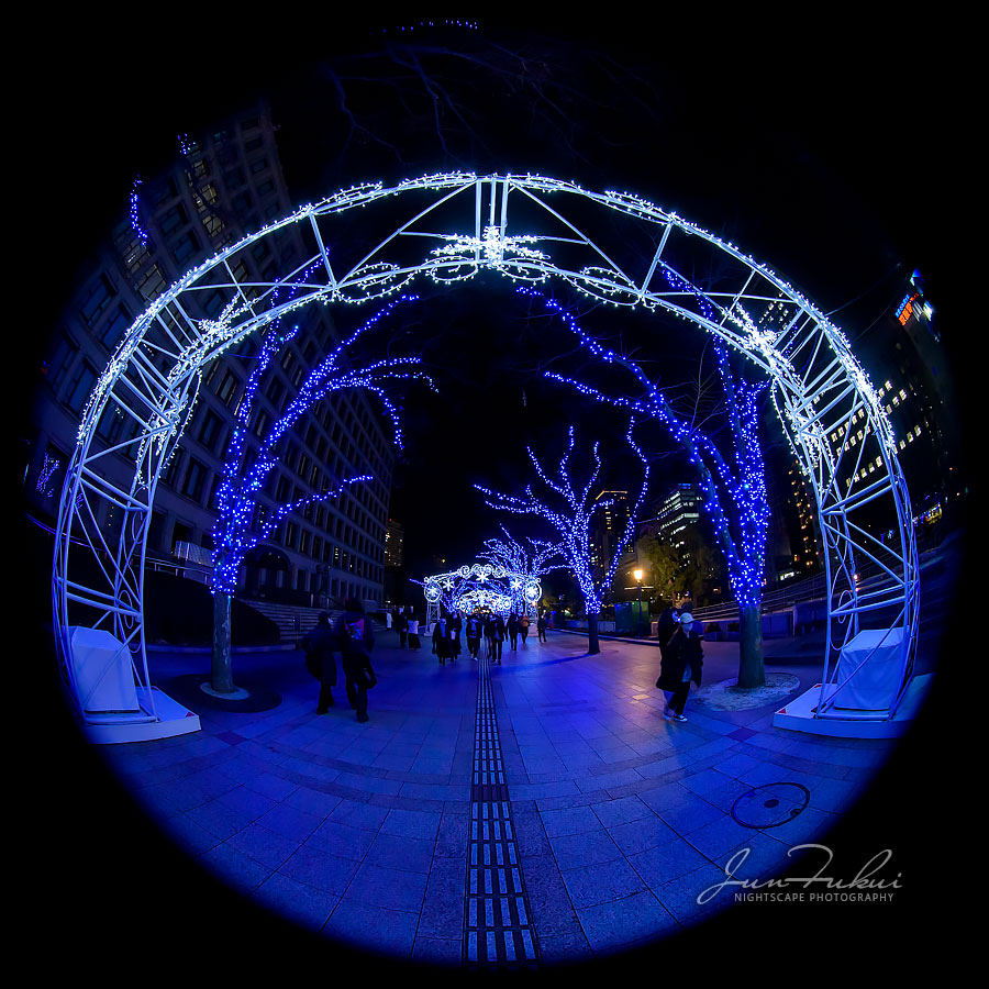 OSAKA光のルネサンス イルミネーション