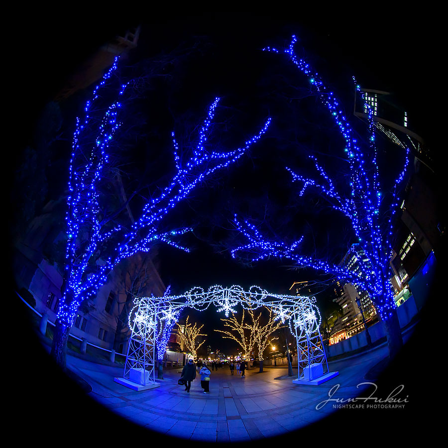 OSAKA光のルネサンス イルミネーション