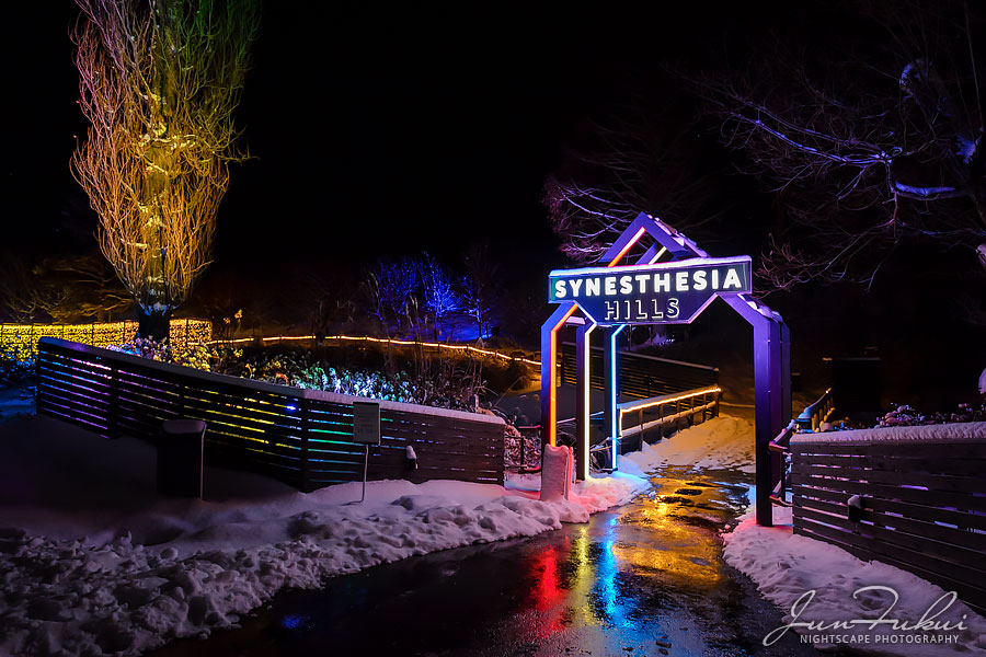 シナスタジアヒルズ イルミネーション