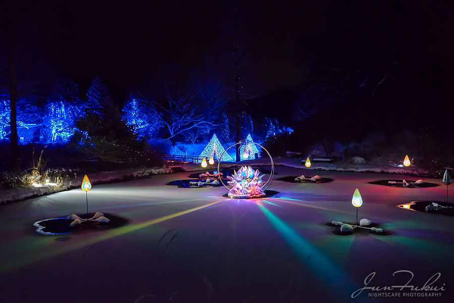 シナスタジアヒルズ イルミネーション