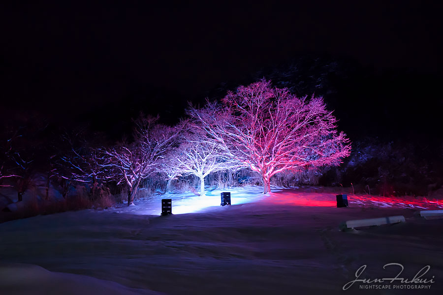シナスタジアヒルズ イルミネーション