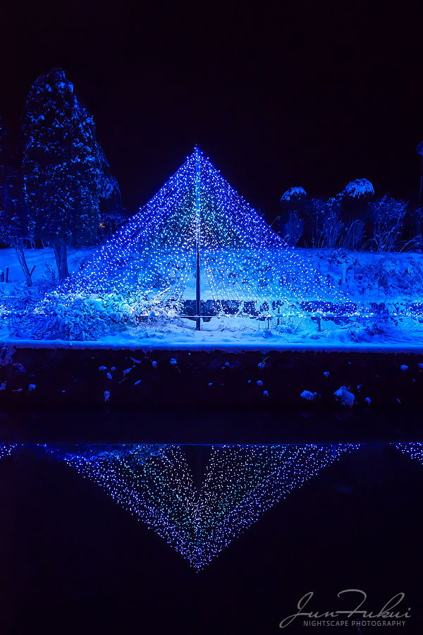 シナスタジアヒルズ イルミネーション