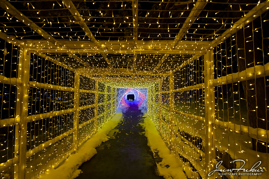 シナスタジアヒルズ イルミネーション