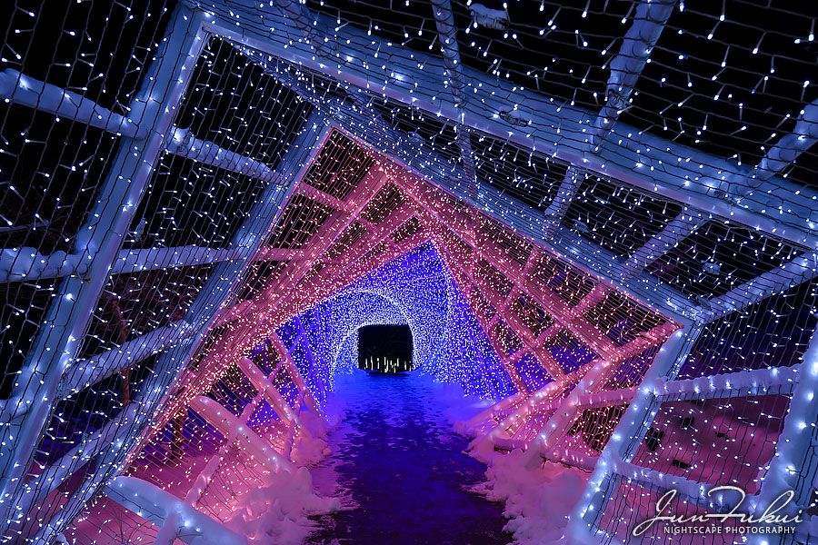 シナスタジアヒルズ イルミネーション