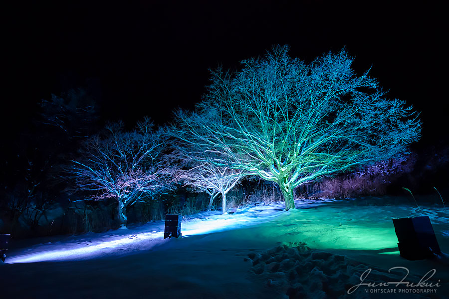 シナスタジアヒルズ イルミネーション