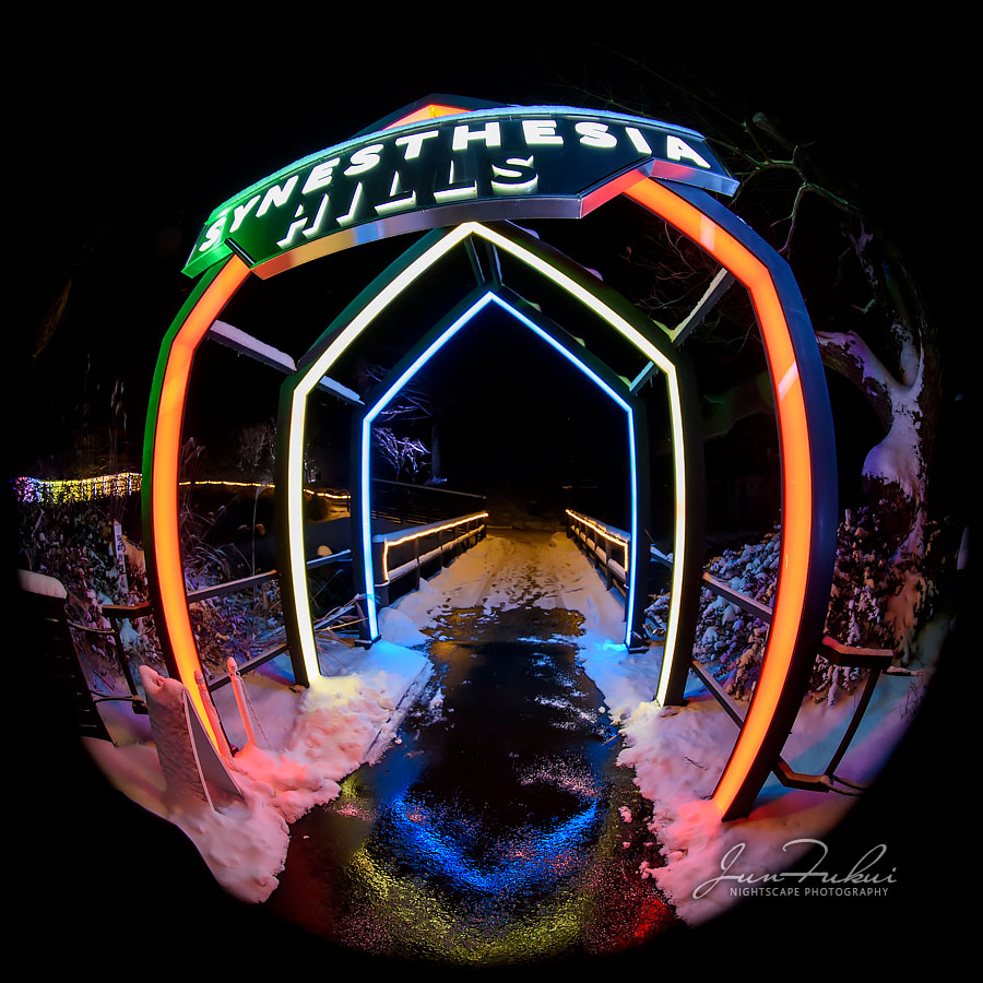 シナスタジアヒルズ イルミネーション