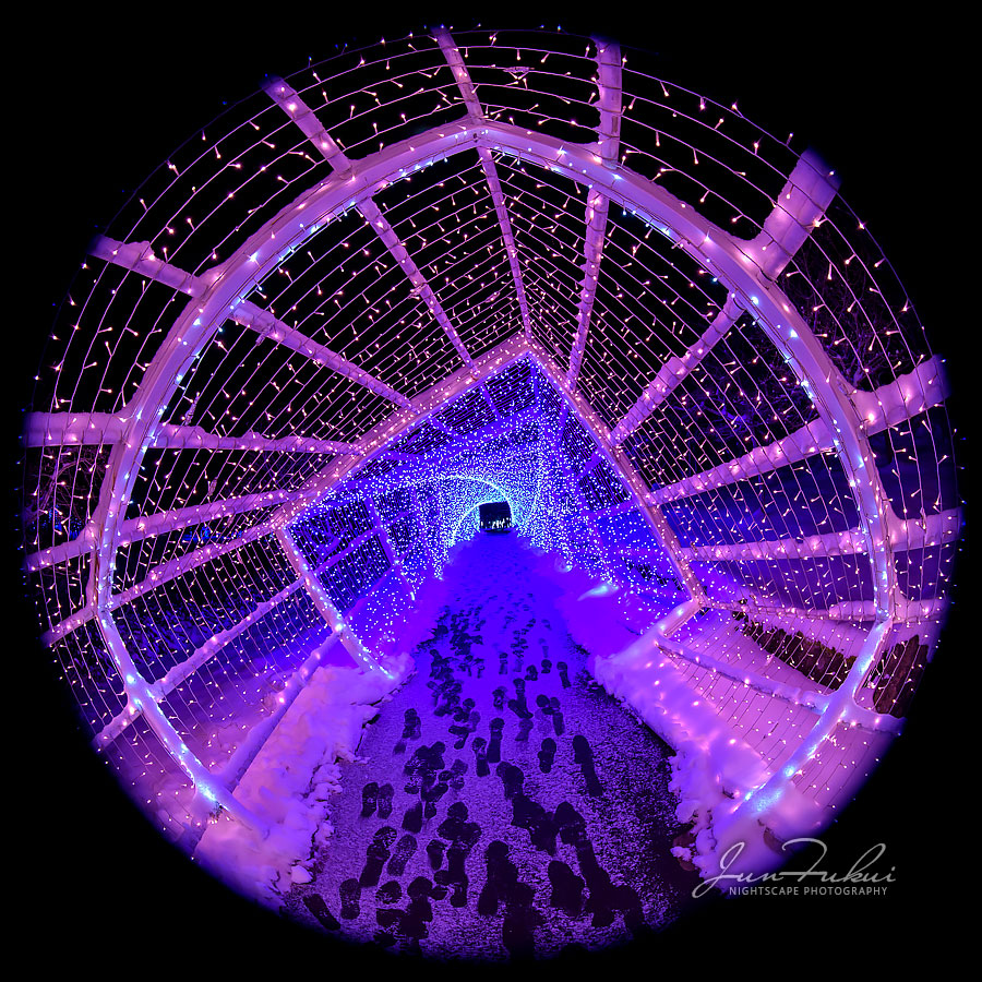 シナスタジアヒルズ イルミネーション