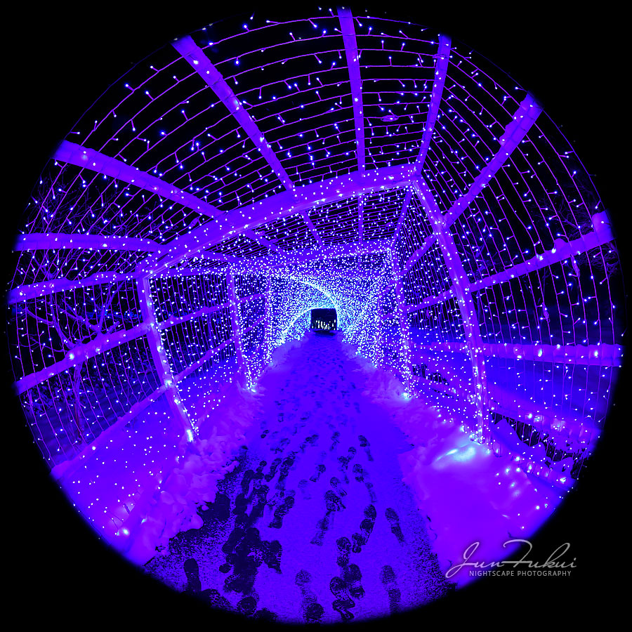 シナスタジアヒルズ イルミネーション