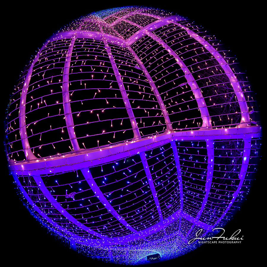 シナスタジアヒルズ イルミネーション