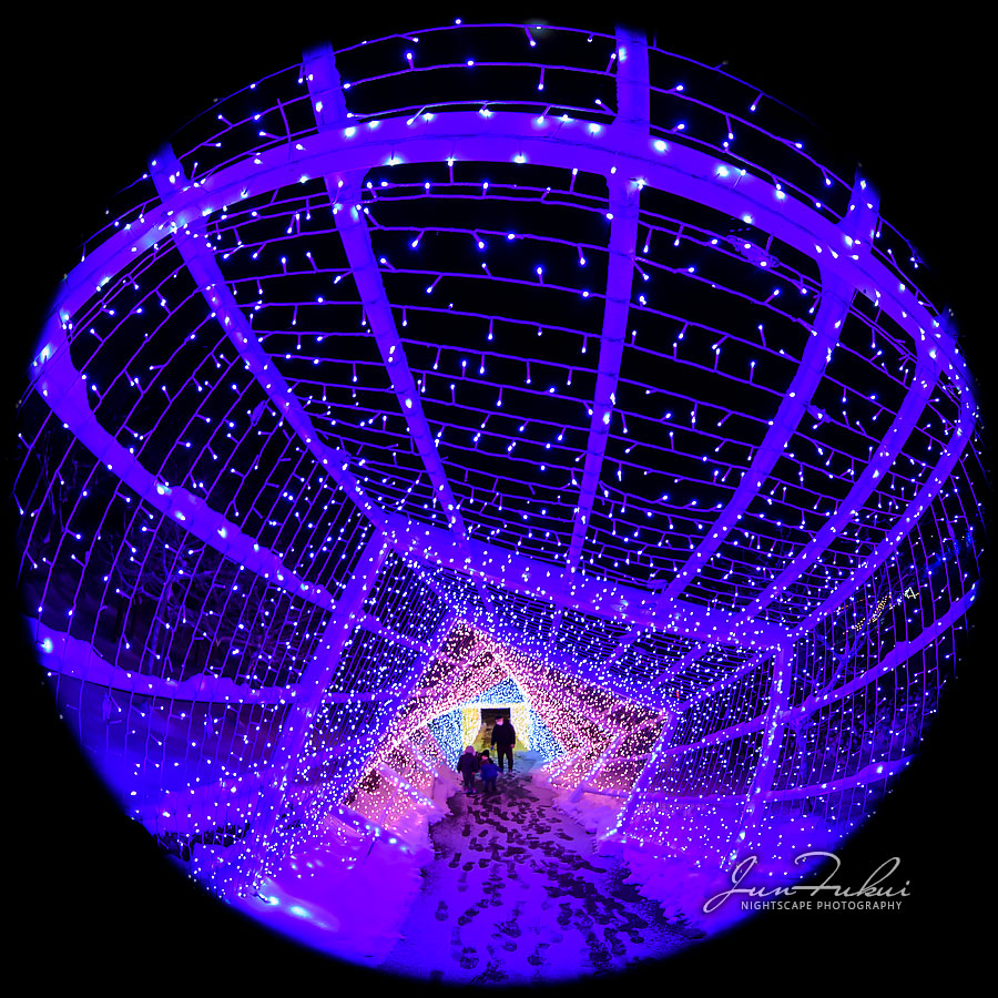 シナスタジアヒルズ イルミネーション