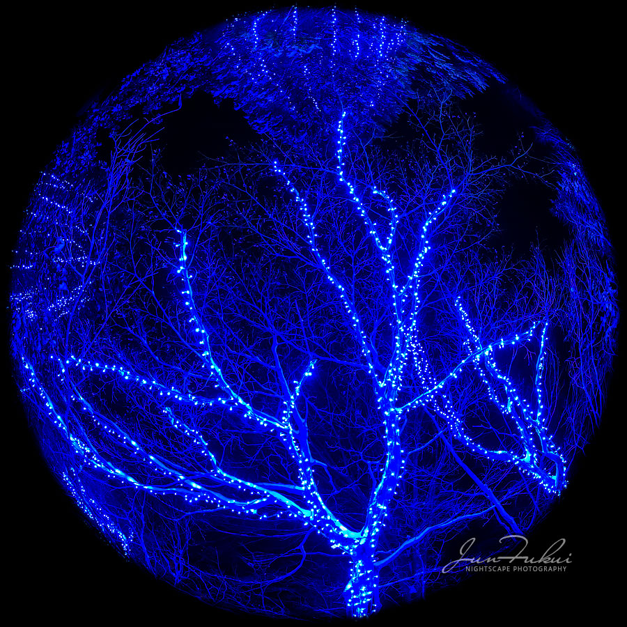 シナスタジアヒルズ イルミネーション