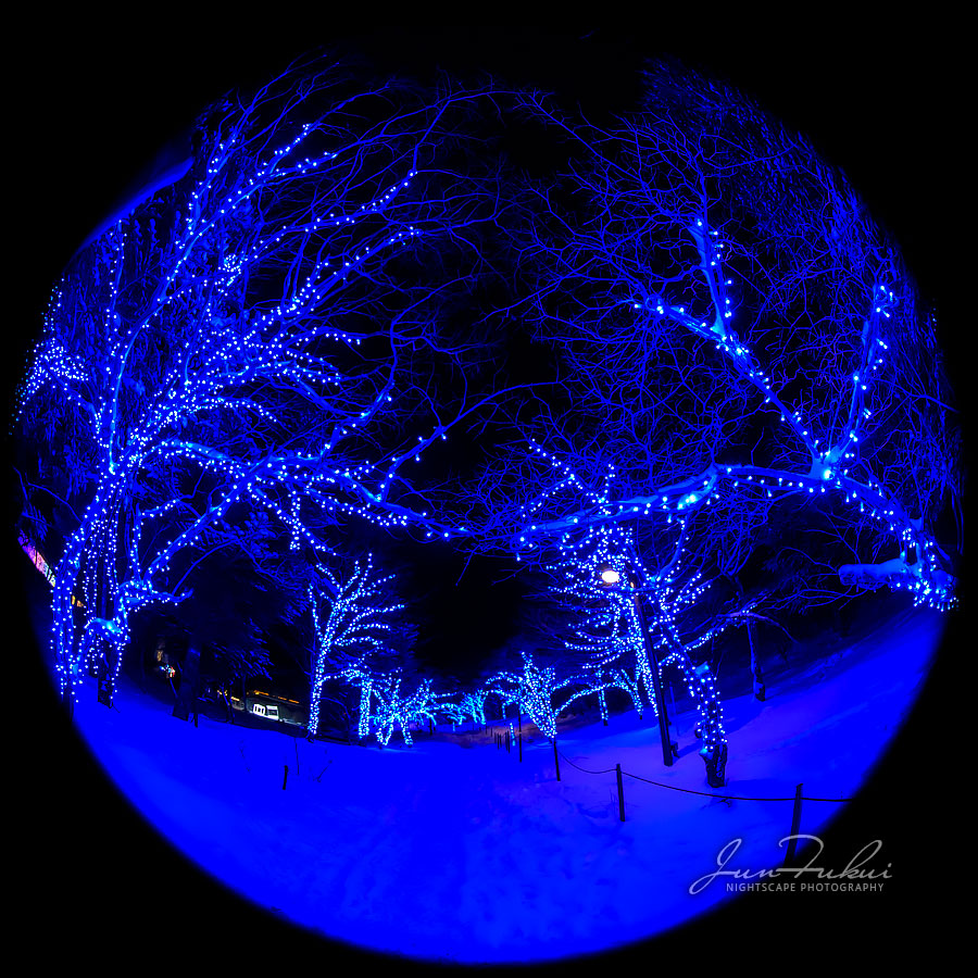 シナスタジアヒルズ イルミネーション