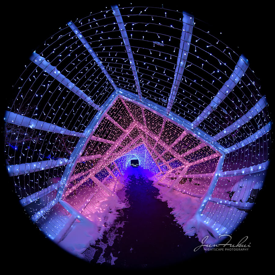 シナスタジアヒルズ イルミネーション