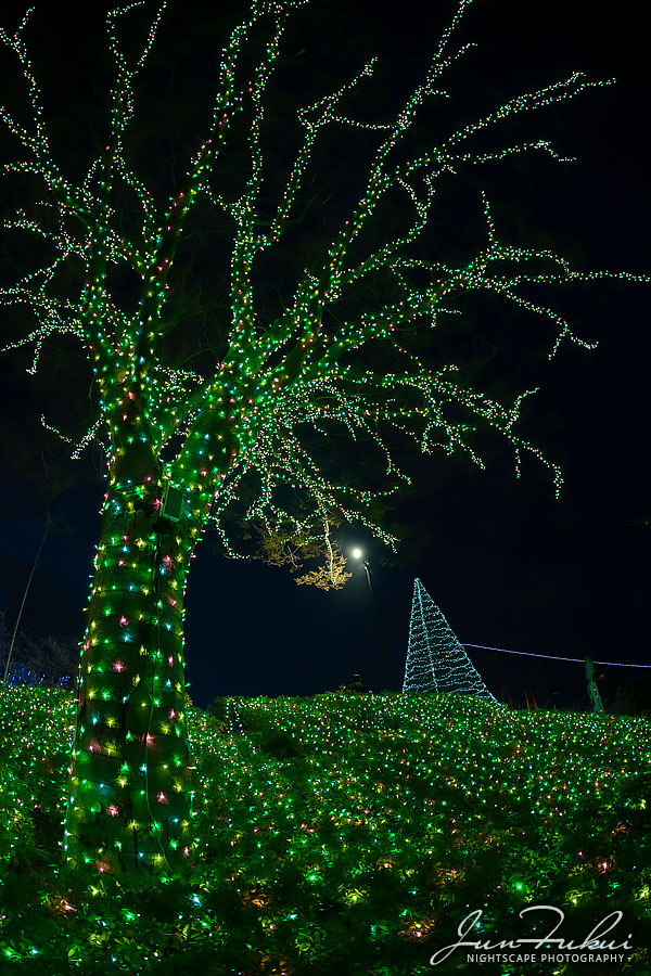 よみうりランド イルミネーション