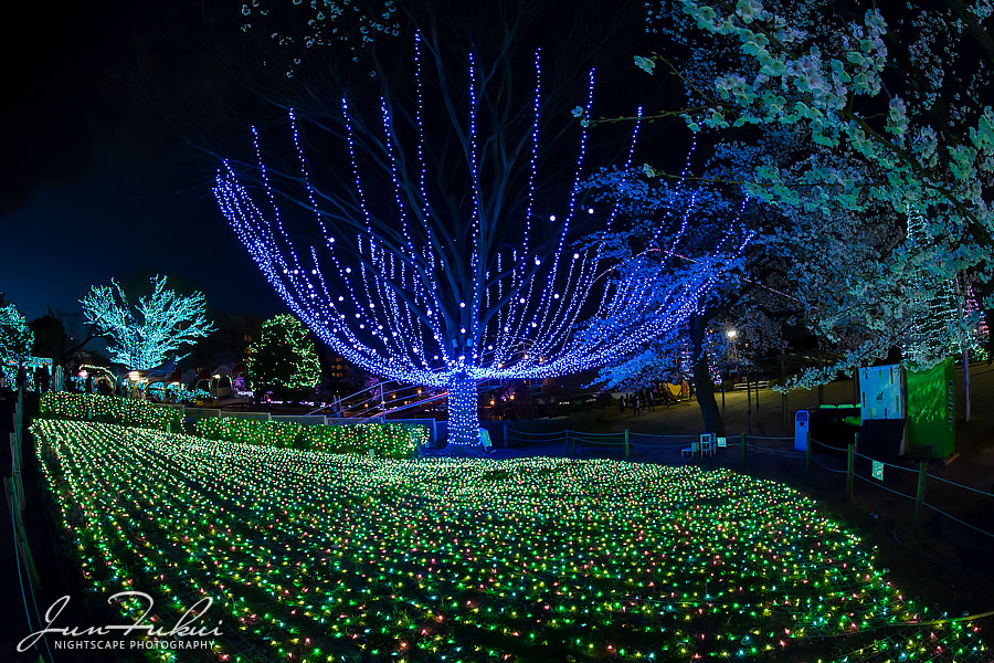 よみうりランド イルミネーション