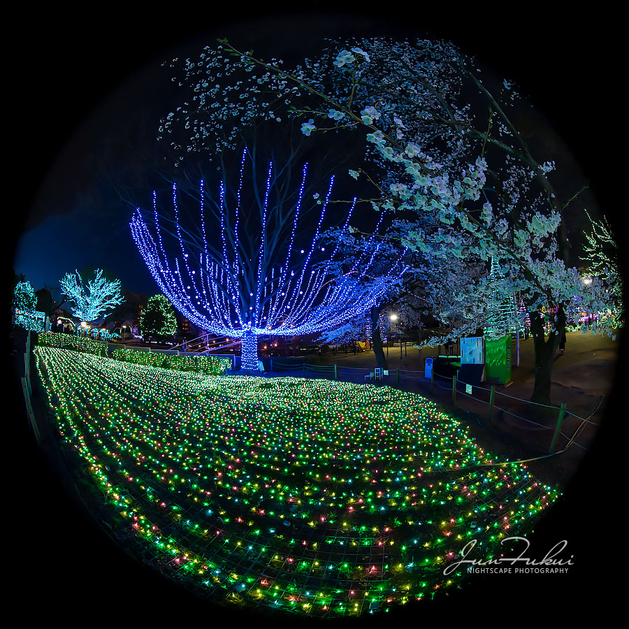 よみうりランド イルミネーション