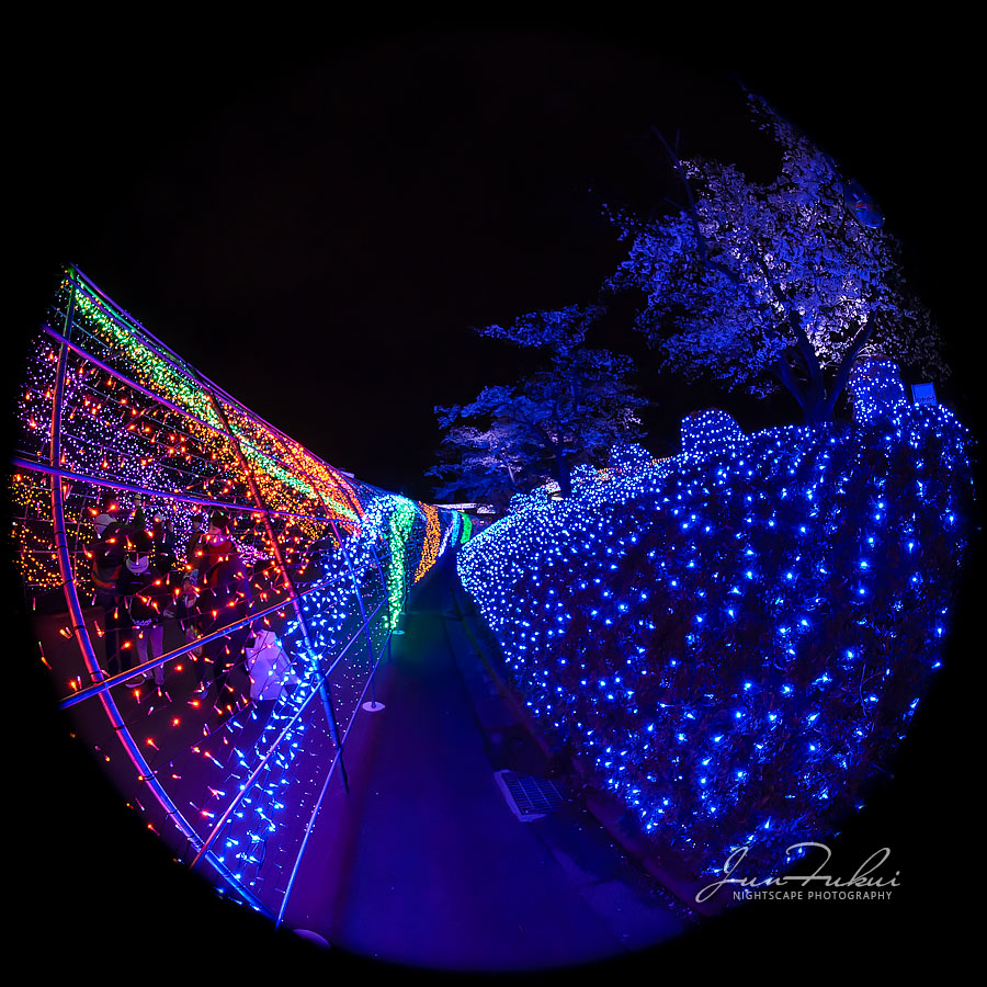 よみうりランド イルミネーション