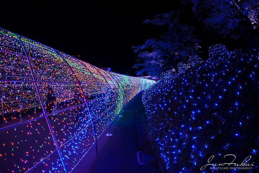 よみうりランド イルミネーション