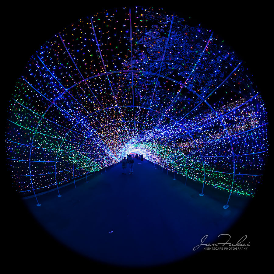 よみうりランド イルミネーション