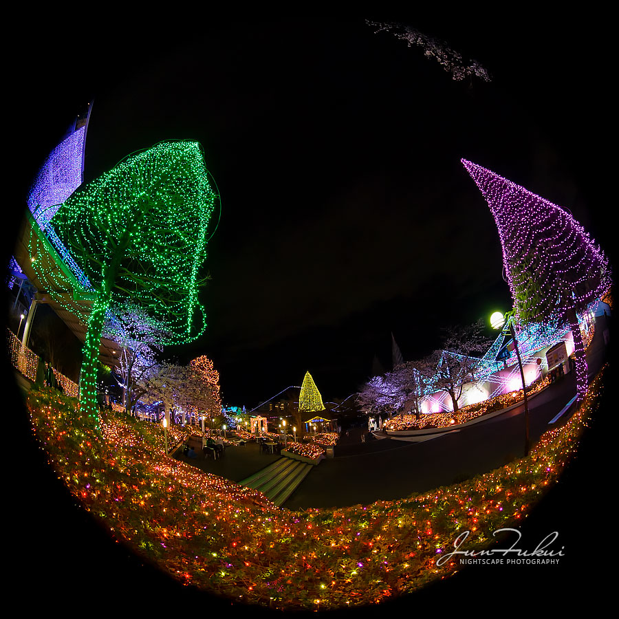 よみうりランド イルミネーション