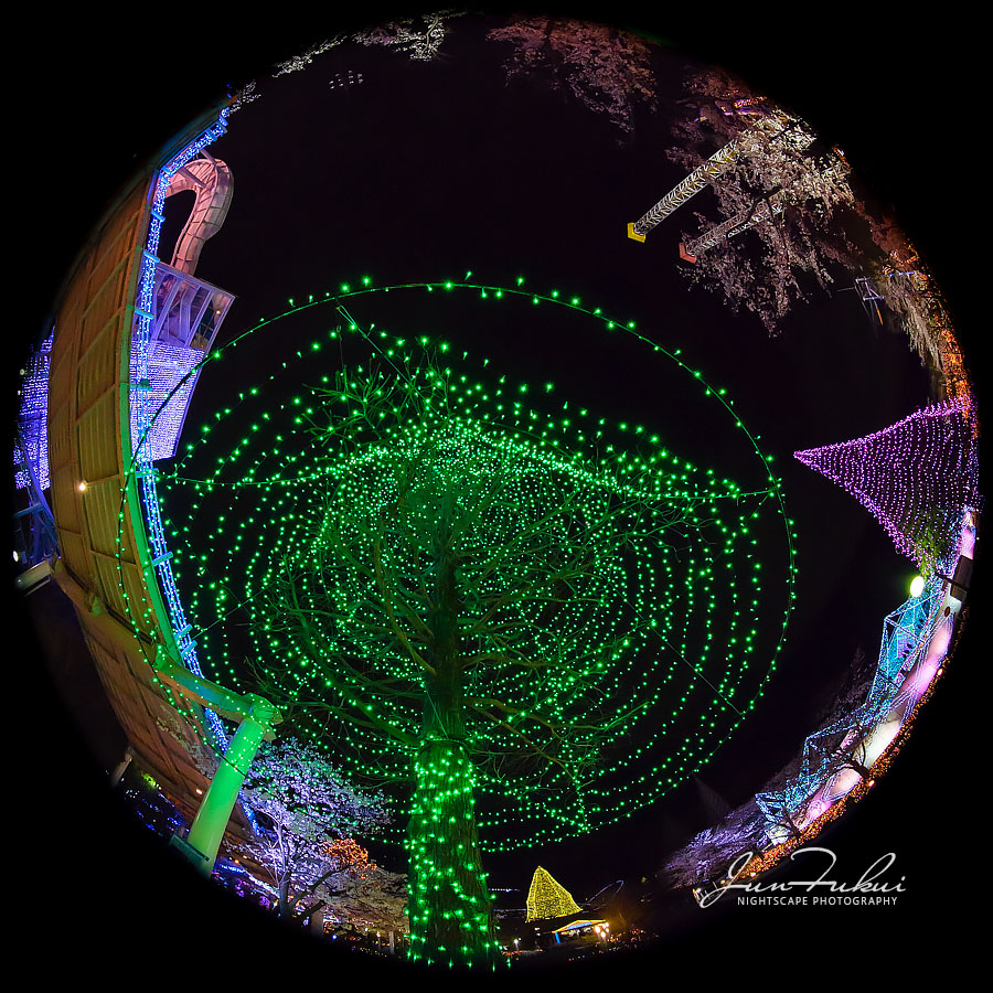 よみうりランド イルミネーション