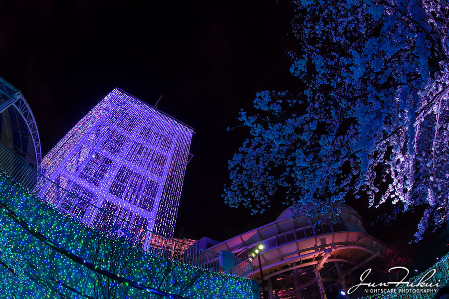 よみうりランド イルミネーション